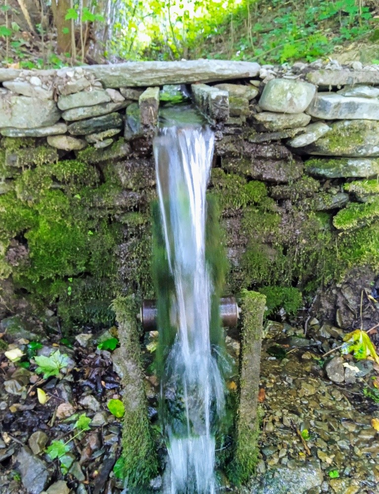 studánka Veinlichemova (15492) - červenec 2025