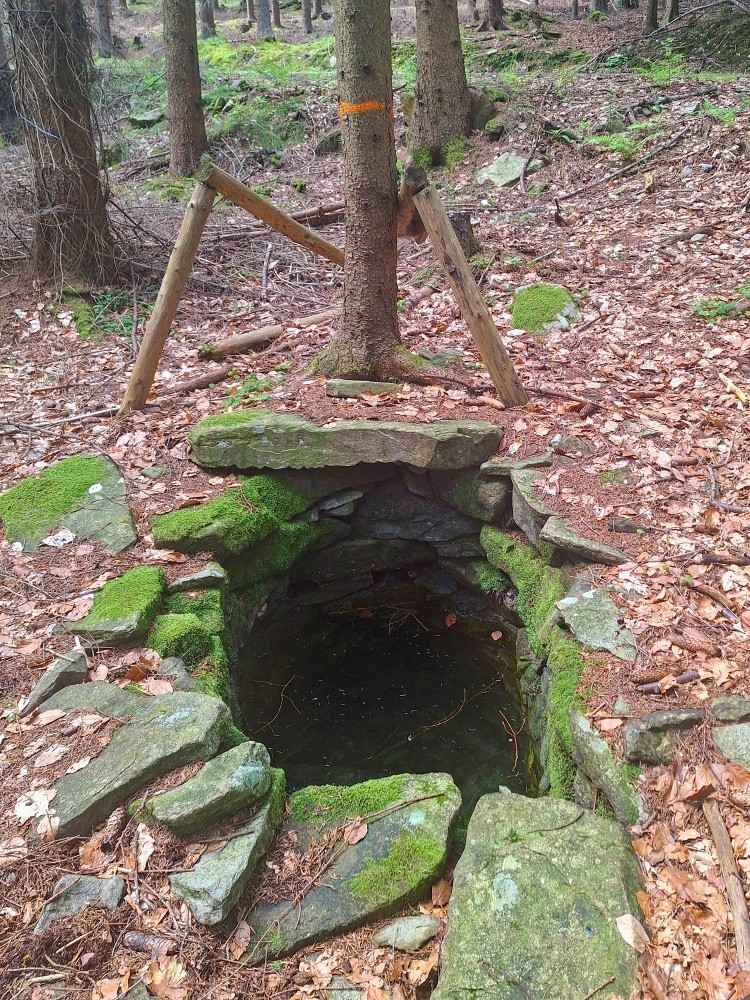 Lesní studánka (15495) - červenec 2025