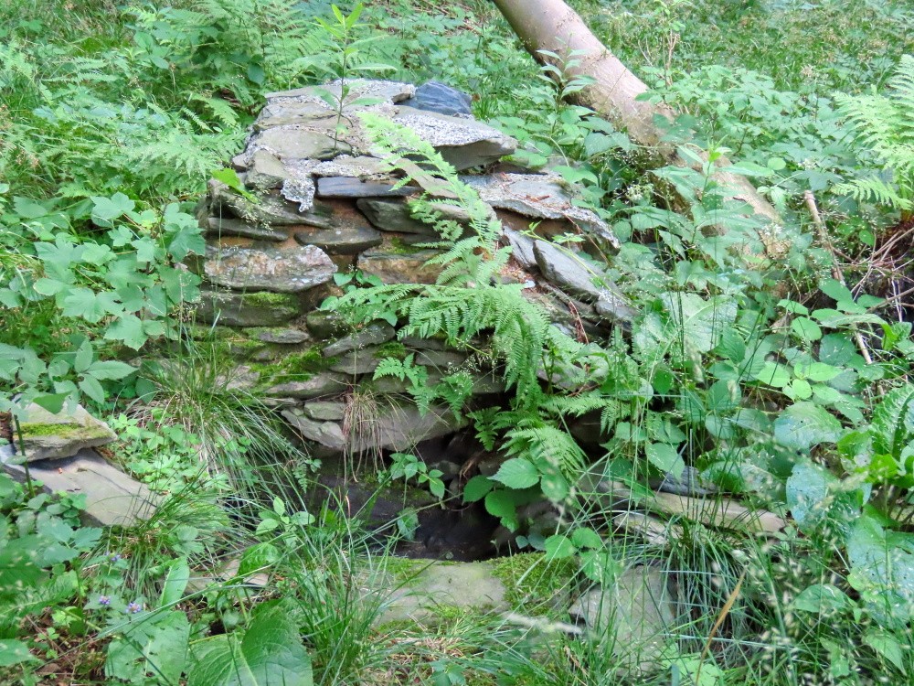 studánka Pod Kopřivným (15501) - červenec 2025