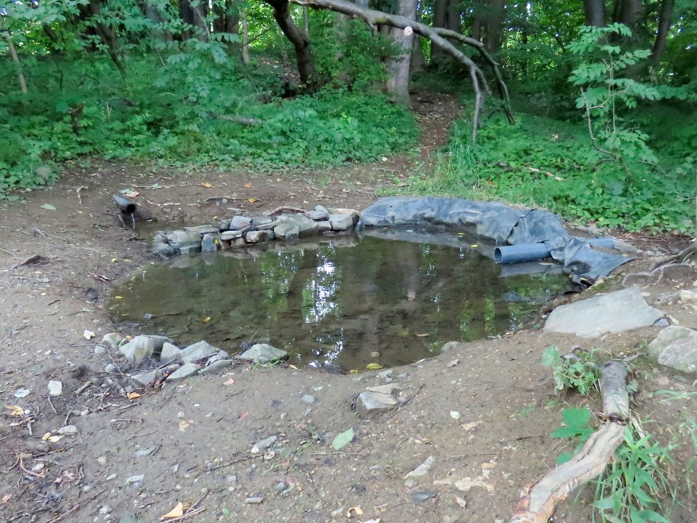 studánka Zaječí napajedlo (15502) - červenec 2025
