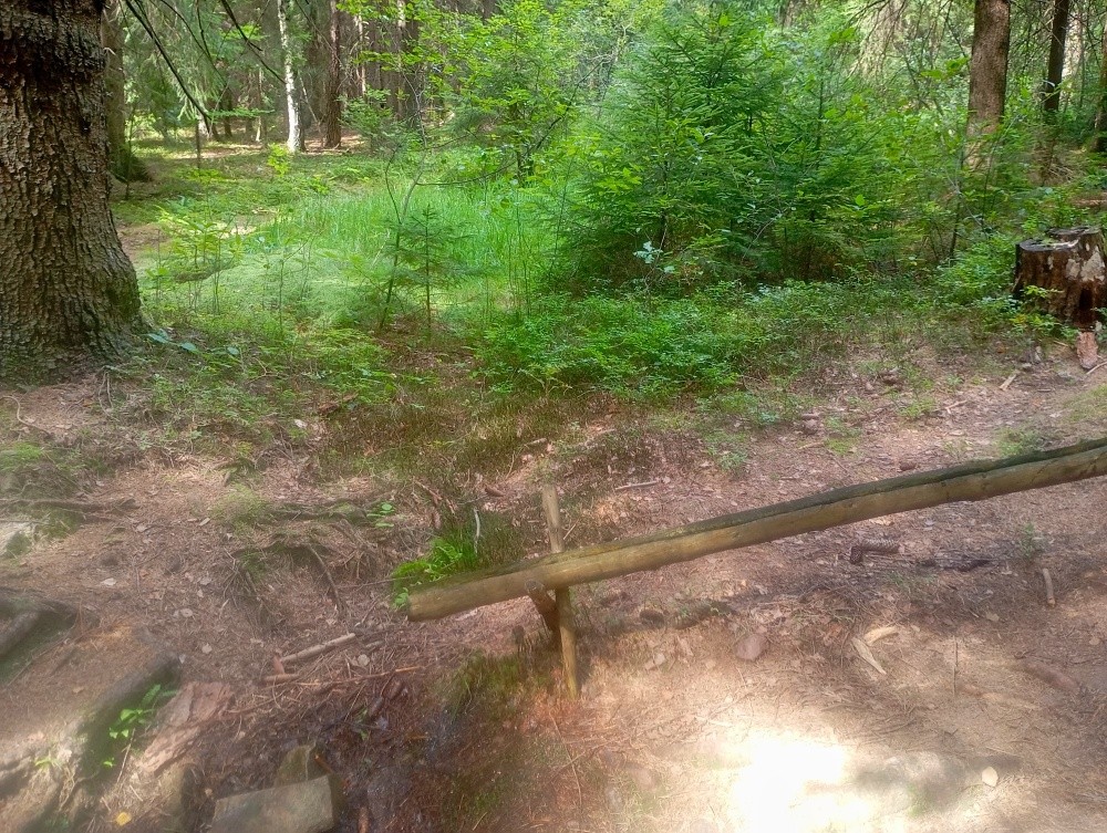 studánka V Boroví (15540) - srpen 2025