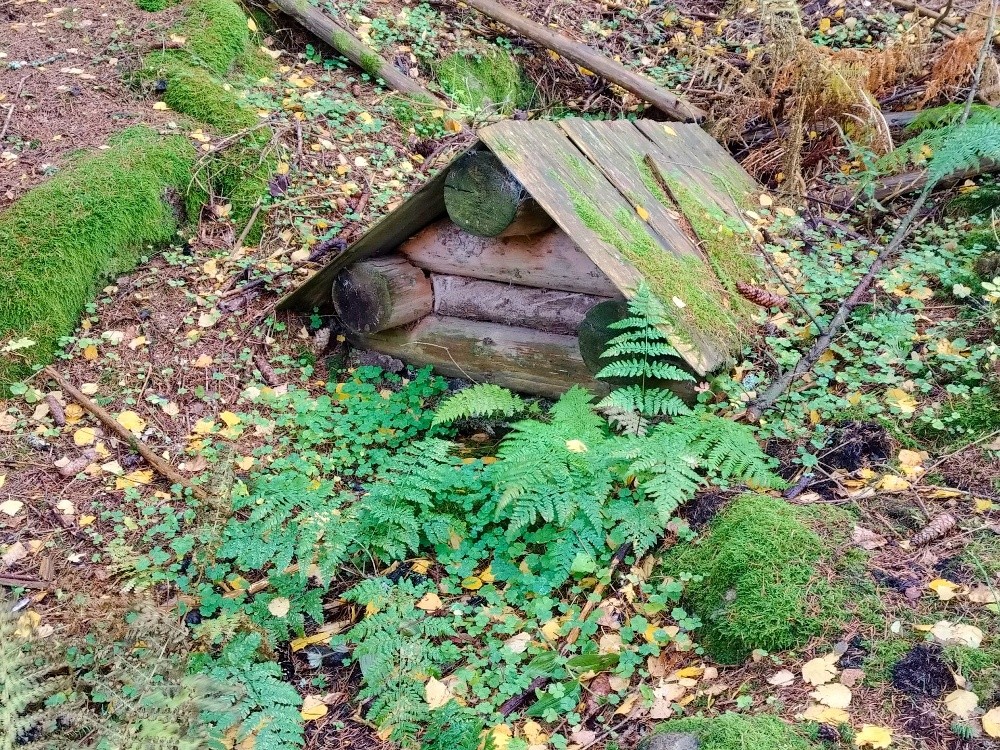 studánka Pod smrkem (15587) - říjen 2025
