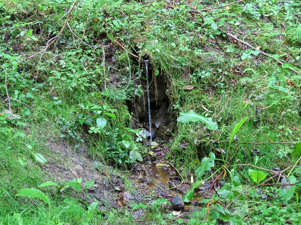 studánka Ve Škrátové (15600) - leden 2026