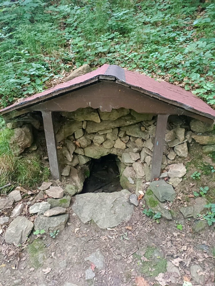 studánka bez jména (15621) - leden 2026