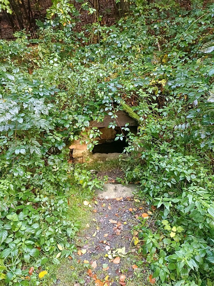 studánka bez jména (15632) - říjen 2024