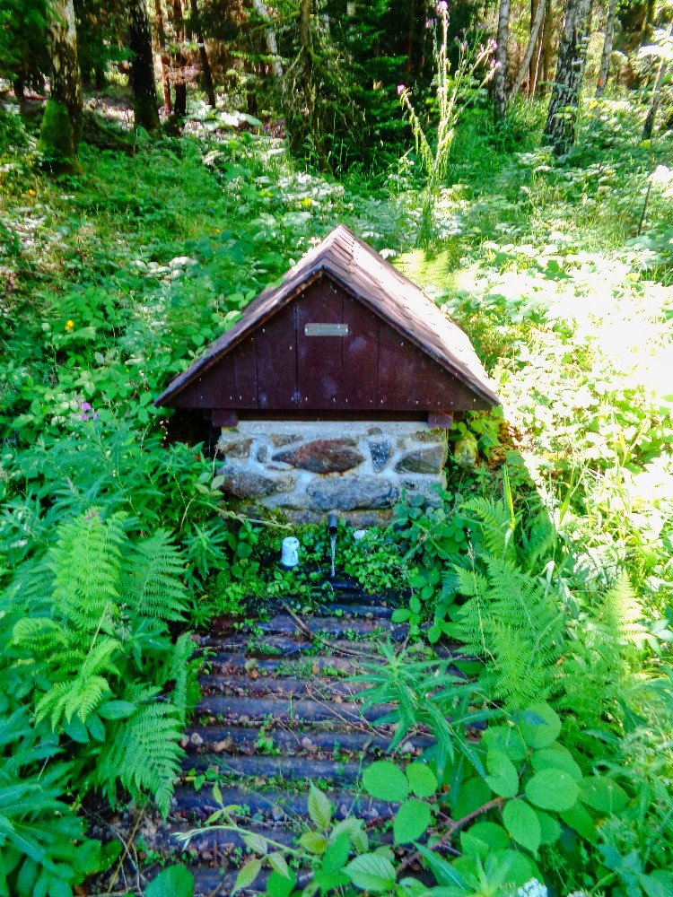 studánka bez jména (15640) - červenec 2024