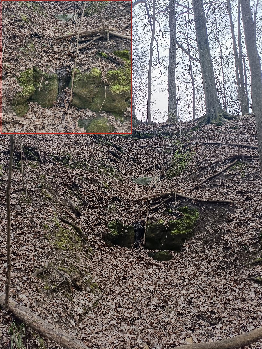 studánka bez jména (15668) - únor 2026