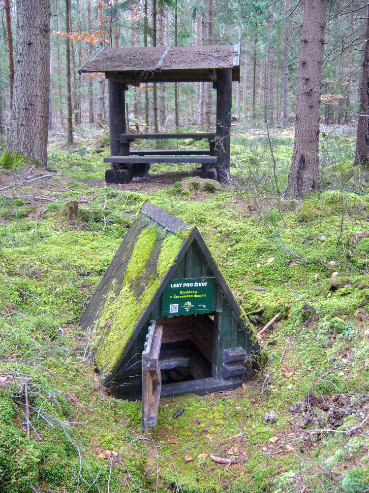 studánka U Červeného domku (15723) - listopad -0001