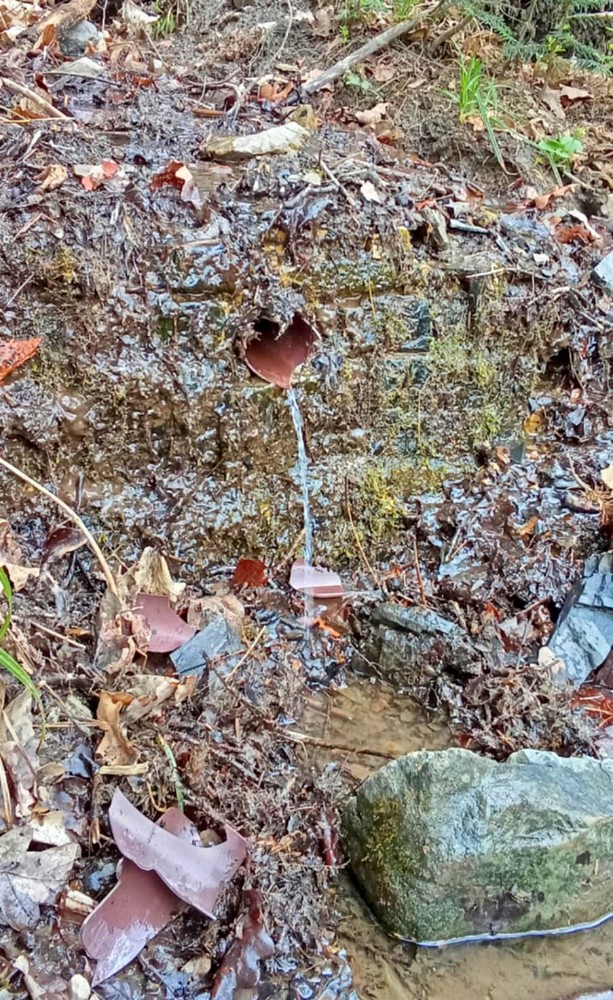 studánka Pod Kalvarijou  (15726) - duben 2026