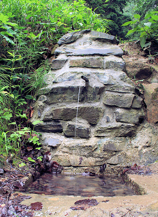 studánka Myslivecká (1505) - květen 2024