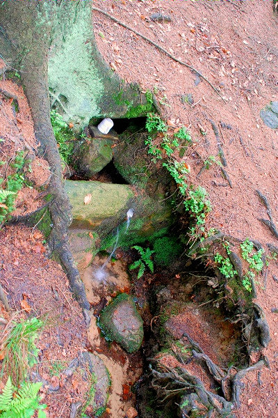 studánka Pod Liščákem (1510) - červen 2009