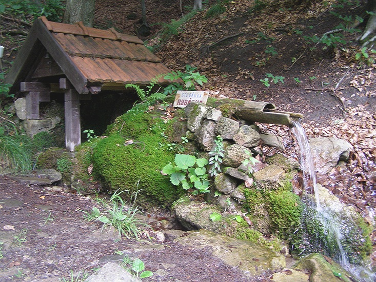 studánka Rybárka (1516) - červenec 2009