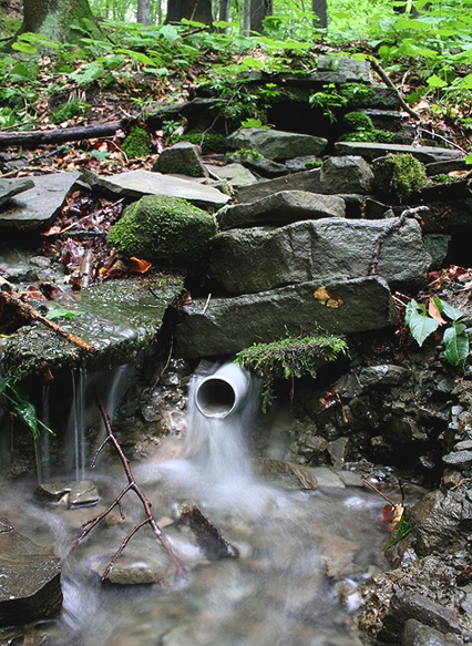 studánka Pod kamenem (1533) - červenec 2009