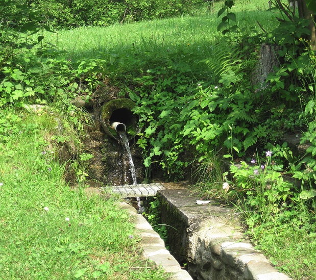 pramen Jasinky (1535) - červenec 2009