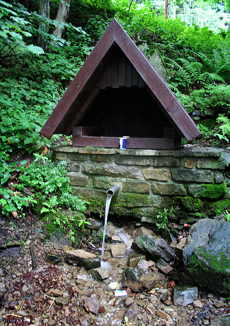 studánka Lednička (1553) - květen 2024