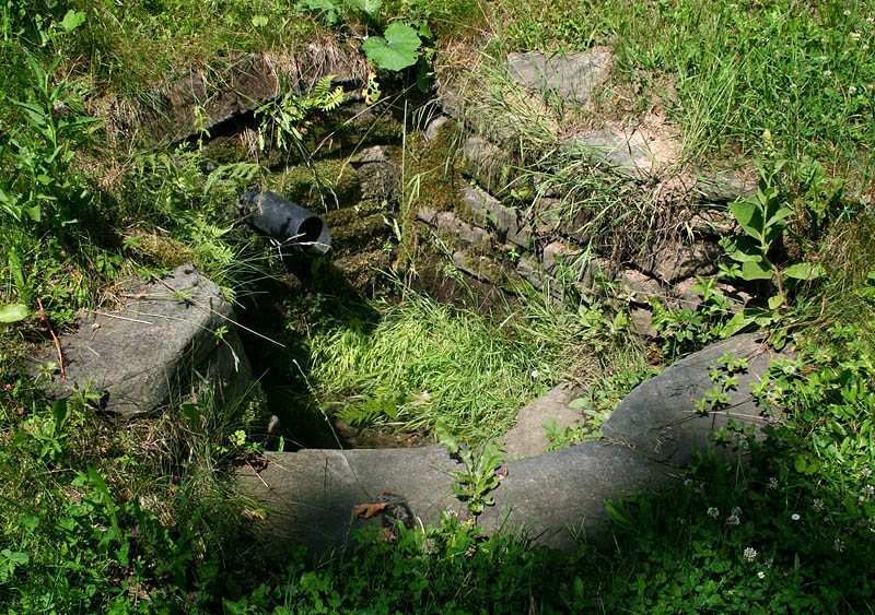 studánka Na Skálí (1563) - červenec 2009