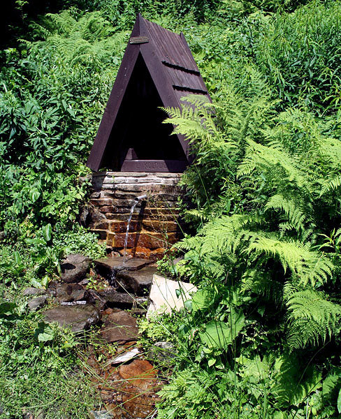 studánka U Koloucha (1566) - květen 2024