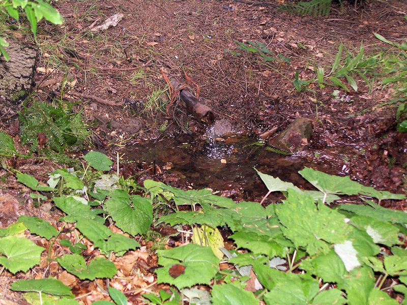 jiný vodní zdroj bez jména (1575) - červenec 2009