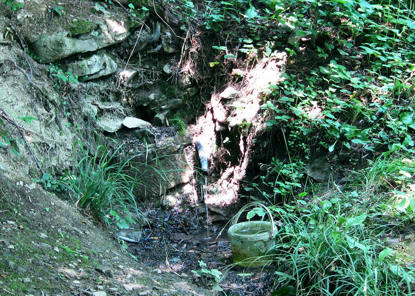 pramen U Škarpů (1601) - červenec 2009