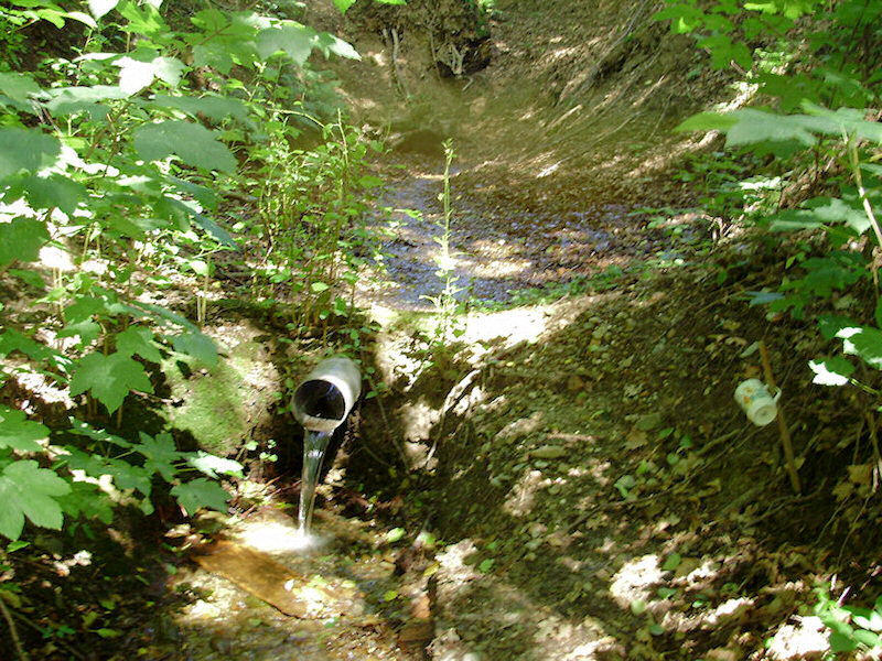 pramen Rýnka (1609) - červenec 2009