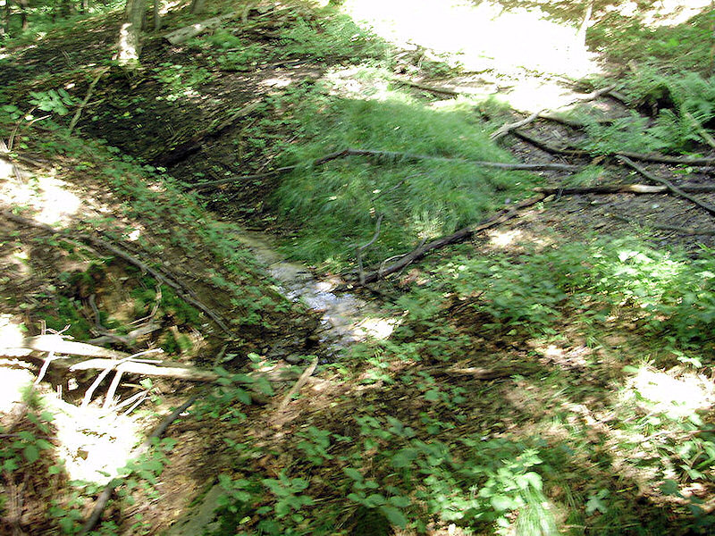 pramen Švejdák (1610) - červenec 2009