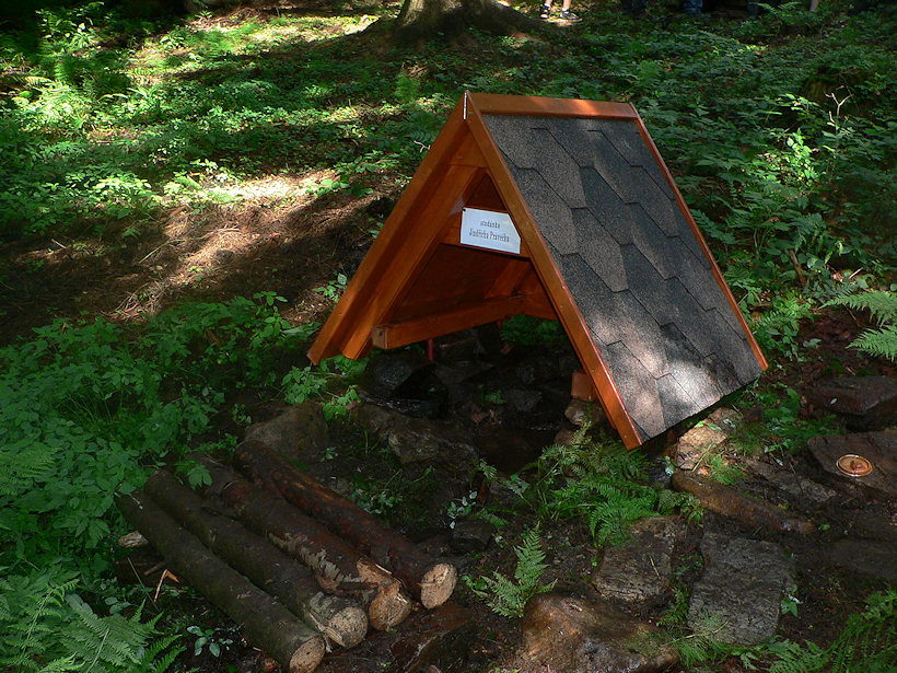 Studánka Jindřicha Pravečka (1616) - červenec 2009