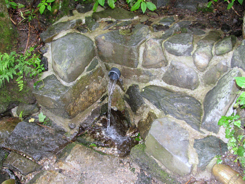 studánka bez jména (1622) - červenec 2009