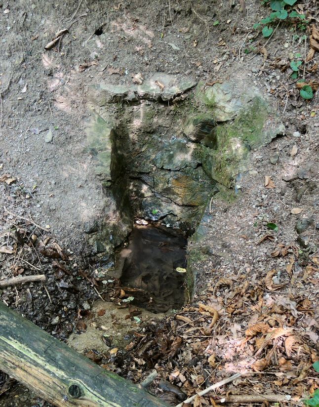 studánka Bohnická (1625) - datum neznámé