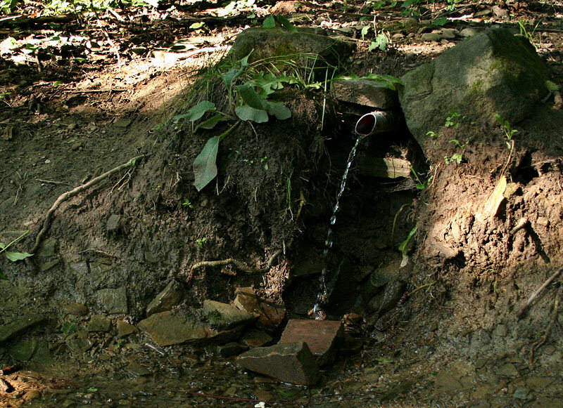 studánka Pod Skalným (1641) - červenec 2009