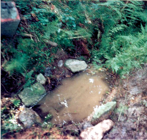 Studánka V Lesích (1657) - červenec 2009