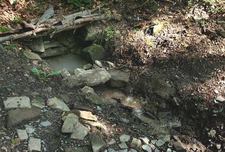 studánka Pod Bukovinou (1670) - srpen 2009
