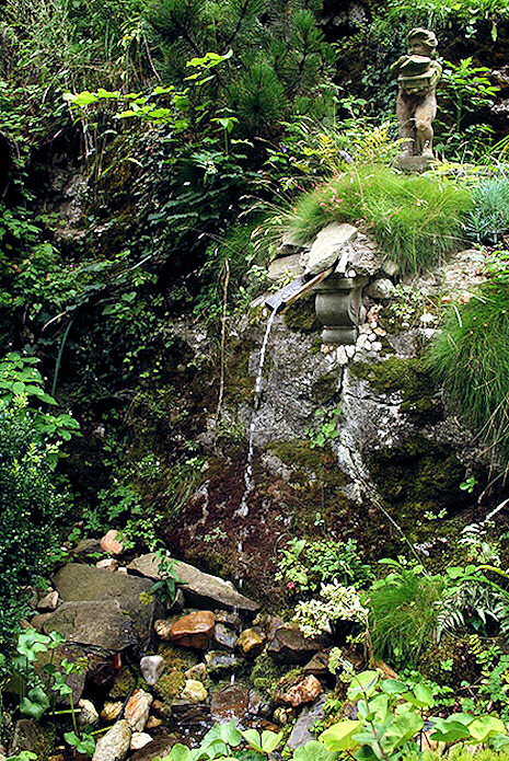 studánka U Trúby (1672) - srpen 2009