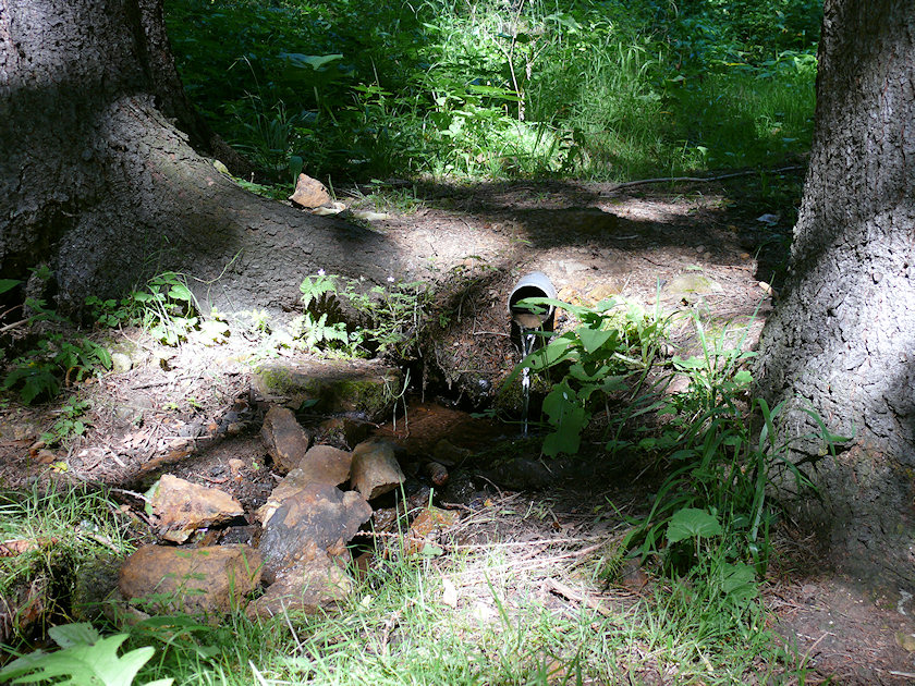 pramen Pod srnčí skálou (1678) - srpen 2009