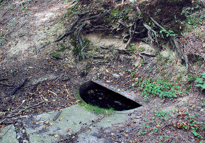 studánka Pod Točnou (1688) - srpen 2009