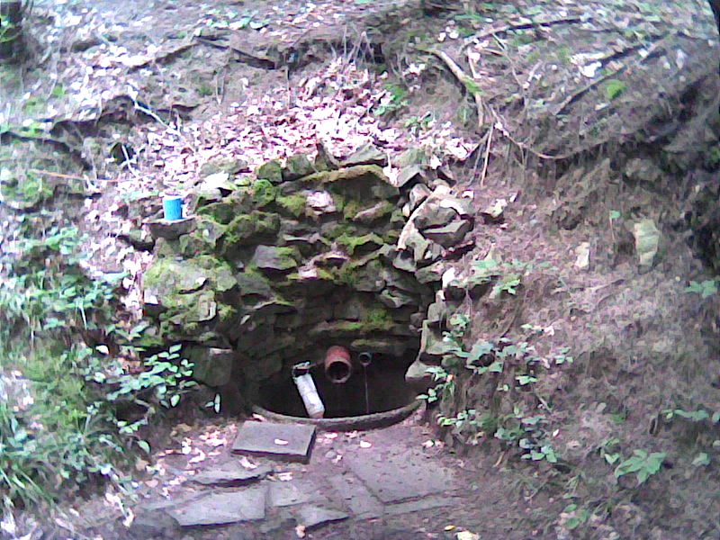 studánka Nad Trubiskama (1704) - srpen 2009