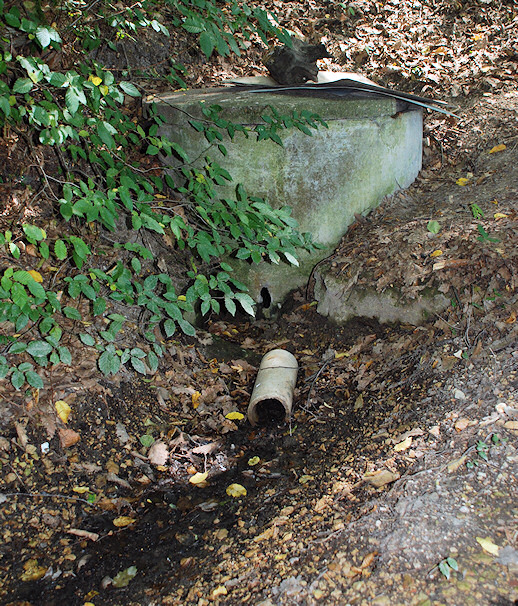 studánka Pod Juliánou (1714) - srpen 2009