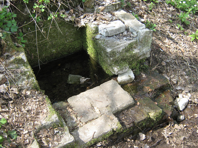 studánka bez jména (1767) - srpen 2009