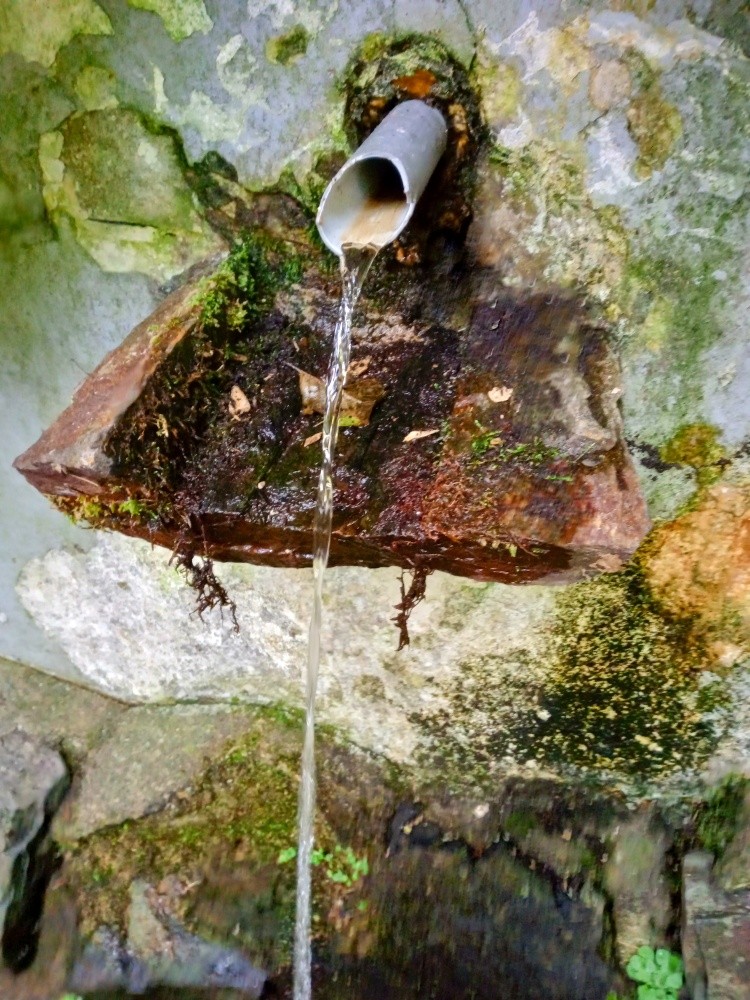 studánka Lesní (1768) - říjen 2024