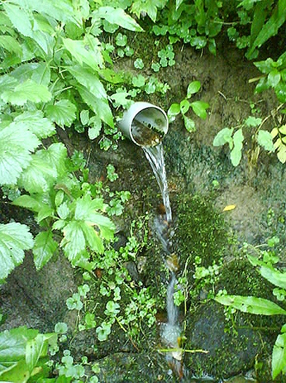 studánka Baronka (1770) - srpen 2009