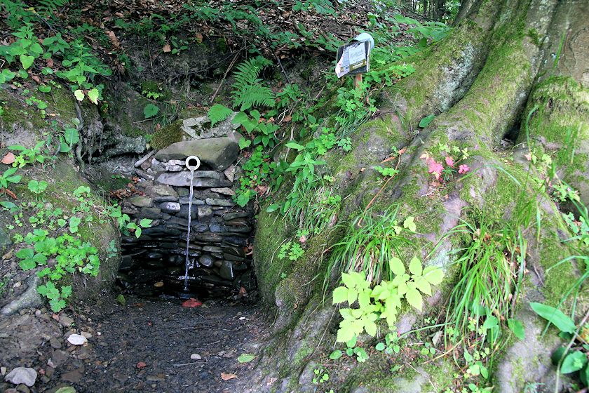 studánka Ve Dříni (1823) - září 2009