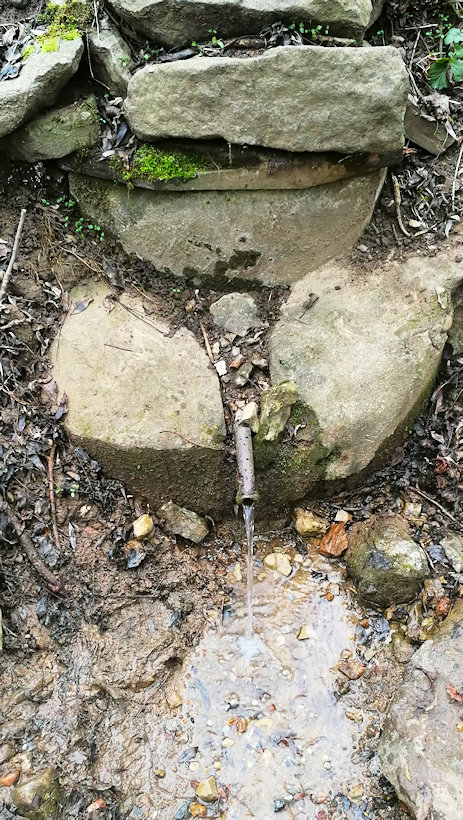 studánka V Obecní zahradě (1834) - leden 2021