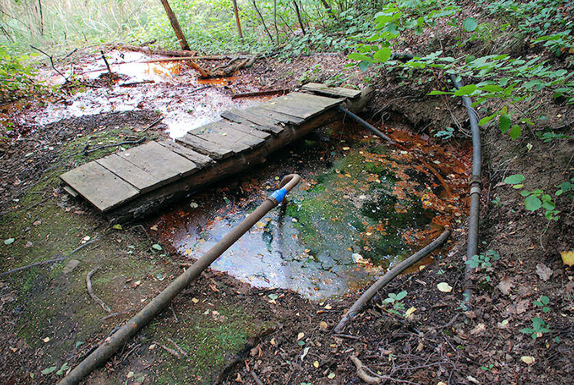 prameniště V Libři (1835) - září 2009