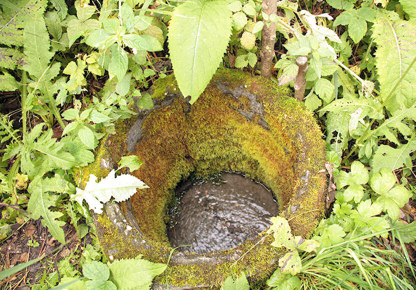 jiný vodní zdroj Lopuchová (1845) - září 2009