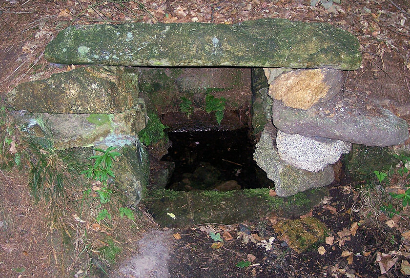 studánka bez jména (1848) - září 2009