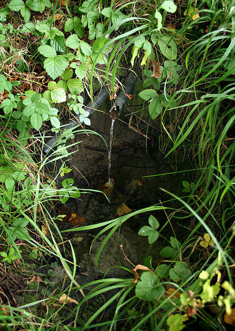 studánka U Hříbků (1861) - září 2009