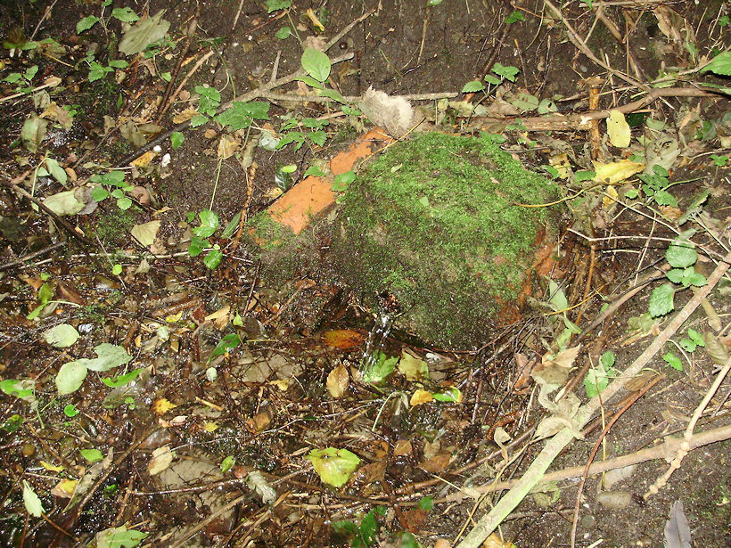 pramen Koryta (1883) - září 2009