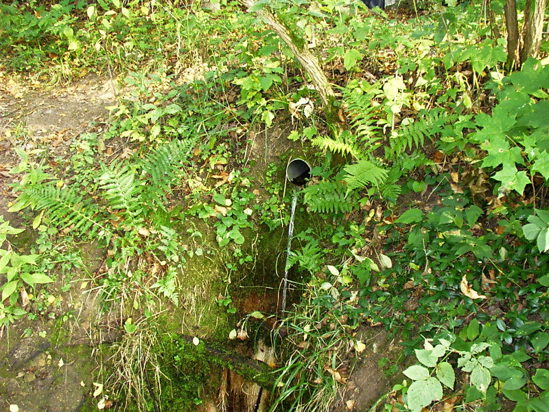 pramen Studánka koh-i-noor (1888) - září 2009