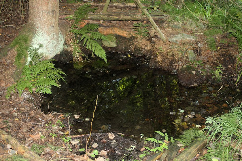 studánka U Makovičků (1898) - září 2009