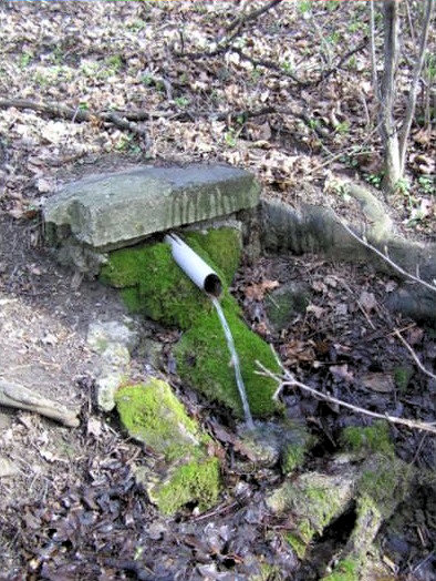studánka bez jména (1913) - září 2009