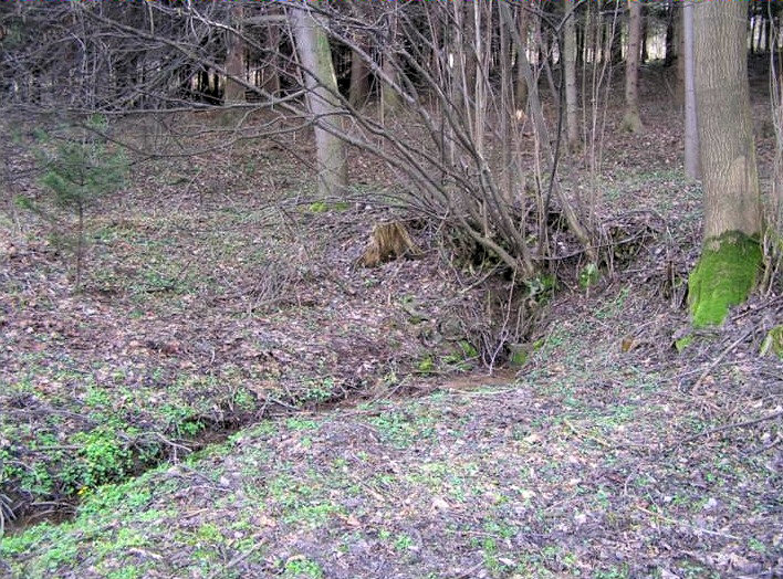 studánka U Včelínku (1915) - září 2009